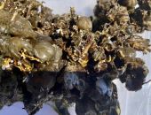 ������ ���� � ������� ����� ����������� ����� ��������