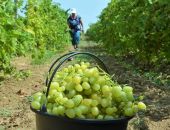 ������ ����� �������� ���������� ����� ��������� � �����