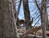 � ����� ����� ������ ������ ������ �����: ������� ���� ���� �� �� �������