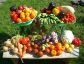 � ����� ��-�� ���������� ���� ��������� ����������� ������