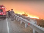 ��� ��������� ����� �� ����-��� (���������)