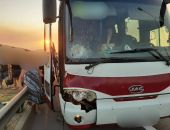 ��� ������ ������� �������� ������� �������� ���� ��������