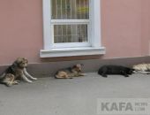 ������������� �������� �������� �� ��, ��� ��������� ������ �������� �������