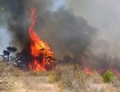 ����� ��� ��������� ���������� �� 150 ��������