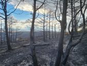 ����� �� ����-��� ����������