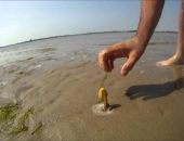 �� ����� � �����-���������� ��������� ������������ �����