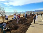 ������ � ����� ������� ������� ���������