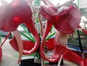 � ����� ����� ������� ��� ����� ����������