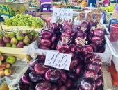 � ����� ������� ���� ���������� ����