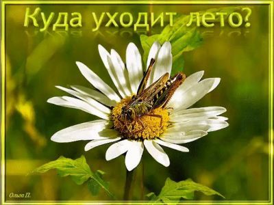 ������� ������� �������: ��� �����������?