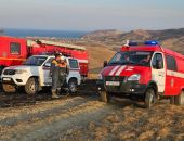 �� ������ � ����� ��������� 29 ����������� ������� � ������� �� ���