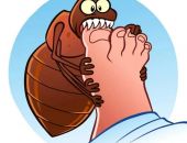 ���� ������ ����� ���� ��������� ��� ������ �����