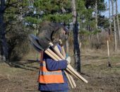 ����� 100 �������� ���� ��������� ������ �������� � �����