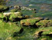 � ������ ���� ���������� ����� ���� ��������� ����������