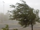 � ����� ��� ��� ��������� ������� ����� 