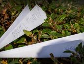 ����� �����, �������� ��������, ��������� �� ����������� ������ ��