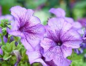 ����� ����� � ����� ������ ������?