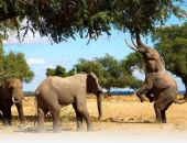 �������� ��������� 200 ������: ������, ����� �������