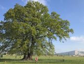 � ���� ��������� ����!