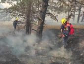 ����������� ����� ������ ����� � ����� ������������ � ���������� ������