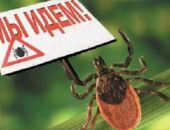 66 ������� ���������� �������� ����� ����� ������ ������