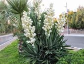 ����� �����: �� ����� ������ ����� ����� ������� ����, ���� � �����