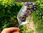 � ����� ������ ���������� �������� ��� ����������� ������������ ������ 