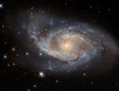 ����������� ��������� ����� ��������� ���������