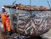 ����������� � ������� ����� ���� ������������ � ������, �������� � ����� 