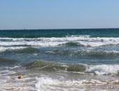 � �������� ����� �������