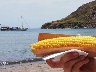 ��� ���� � ���� ���� � �������� � ����� � ������� ���� 27 ��������
