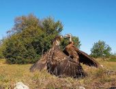 � ����������� ����������� ������������� ������������� ����