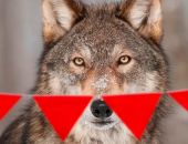 � ����� �������� ������������ ����� ����� ������ 