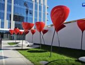 ���������� �������� ��������� � ������� �����