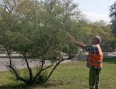 ������� ���� �������� ���������� ��������� � �������