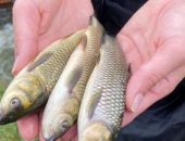 ����� ���� � ����� �������� �� 12%