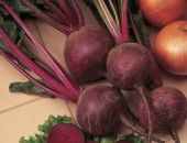 � ����� �� ����� ������ ����� ���������� ������ � ���