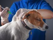 ���������� ����������: �������� �������� � ����� ��������� �� ��������� ����� ��������