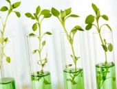 ������ ����� ����������� ���������� ���������� ����������� ��������