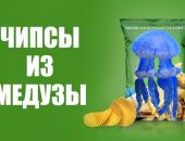 � ����� ��������� ������ ����� �� ����� 