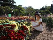 � ��������� ���� ��������� � ����� ���������, �� ���� ������ ���� �� �������