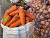 ���� ��������� ������������ ���� ��������, �������� � �������