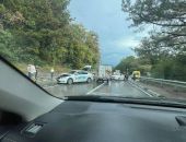 На ялтинской трассе авария с участием служебной машины «Артека»