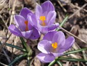 �����, � ����� ������� �������