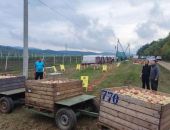 � ������ ��� ������ ������ "��������" �����