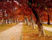 ������ ����� ��������, � ���� � ���� ��� ������ ������ �������