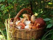 �� �������� ���� ��������� ���������� � ����� �����