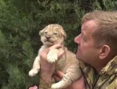 � �������� ����� "������" � ������ �������� ������