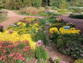 � ������������ ���� ����������� ������� ������� ����������