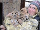 � ����� �������� �� ����� �������� ������������ ���������� �����